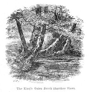 The Kings Gairn Brook